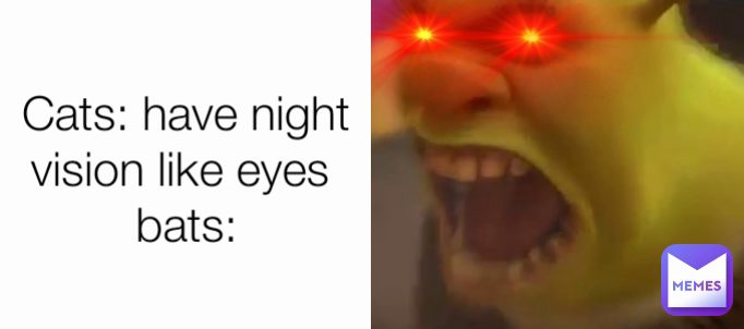Cats: have night vision like eyes 
bats: