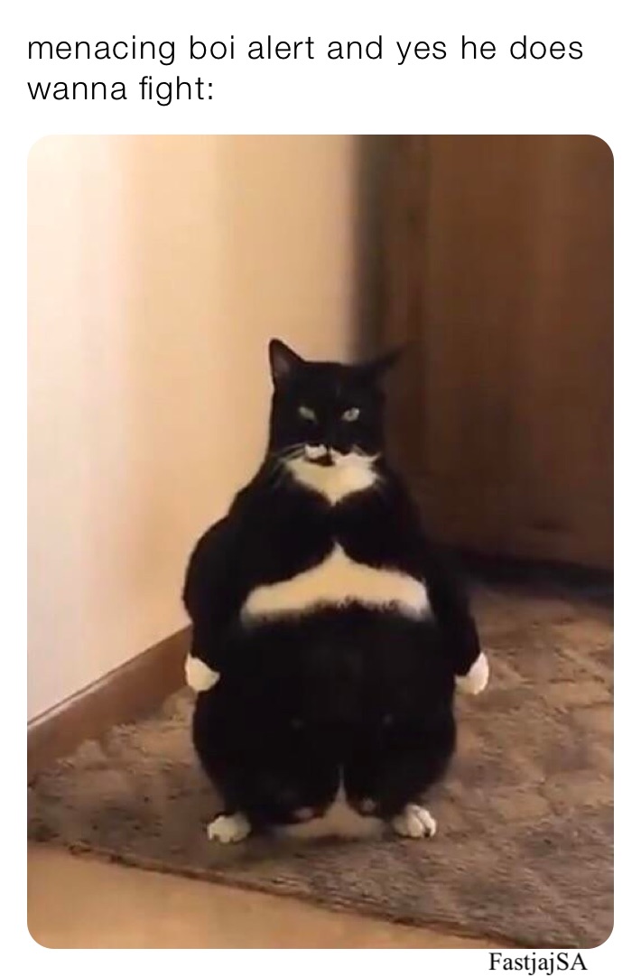 menacing boi alert and yes he does wanna fight: