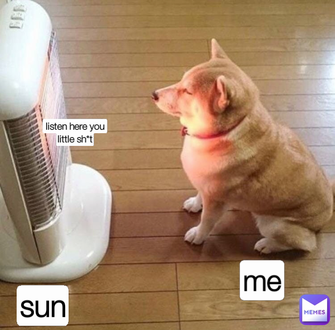 sun listen here you little sh*t me