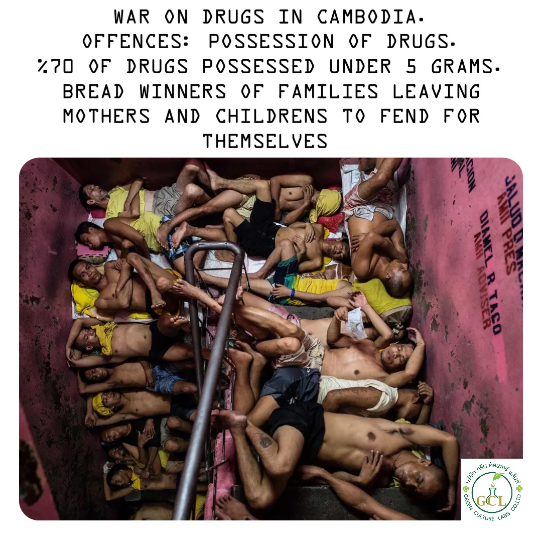 War on Drugs in Cambodia. 
Offences: possession of Drugs. 
%70 of drugs possessed under 5 grams. Bread winners of families leaving 
Mothers and Childrens to fend for themselves