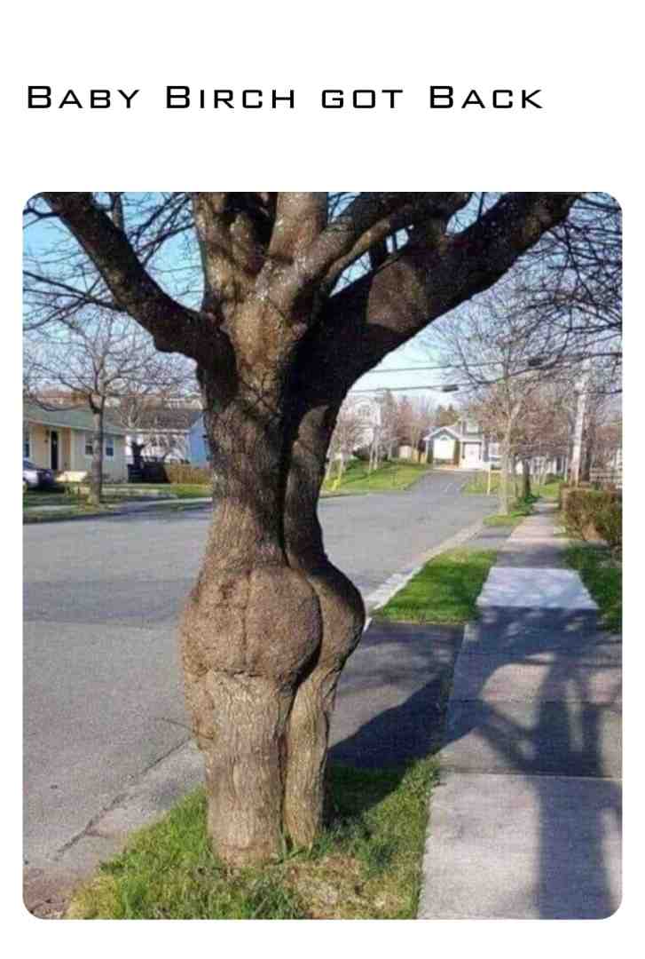 #dirtymind #enviroment #plants