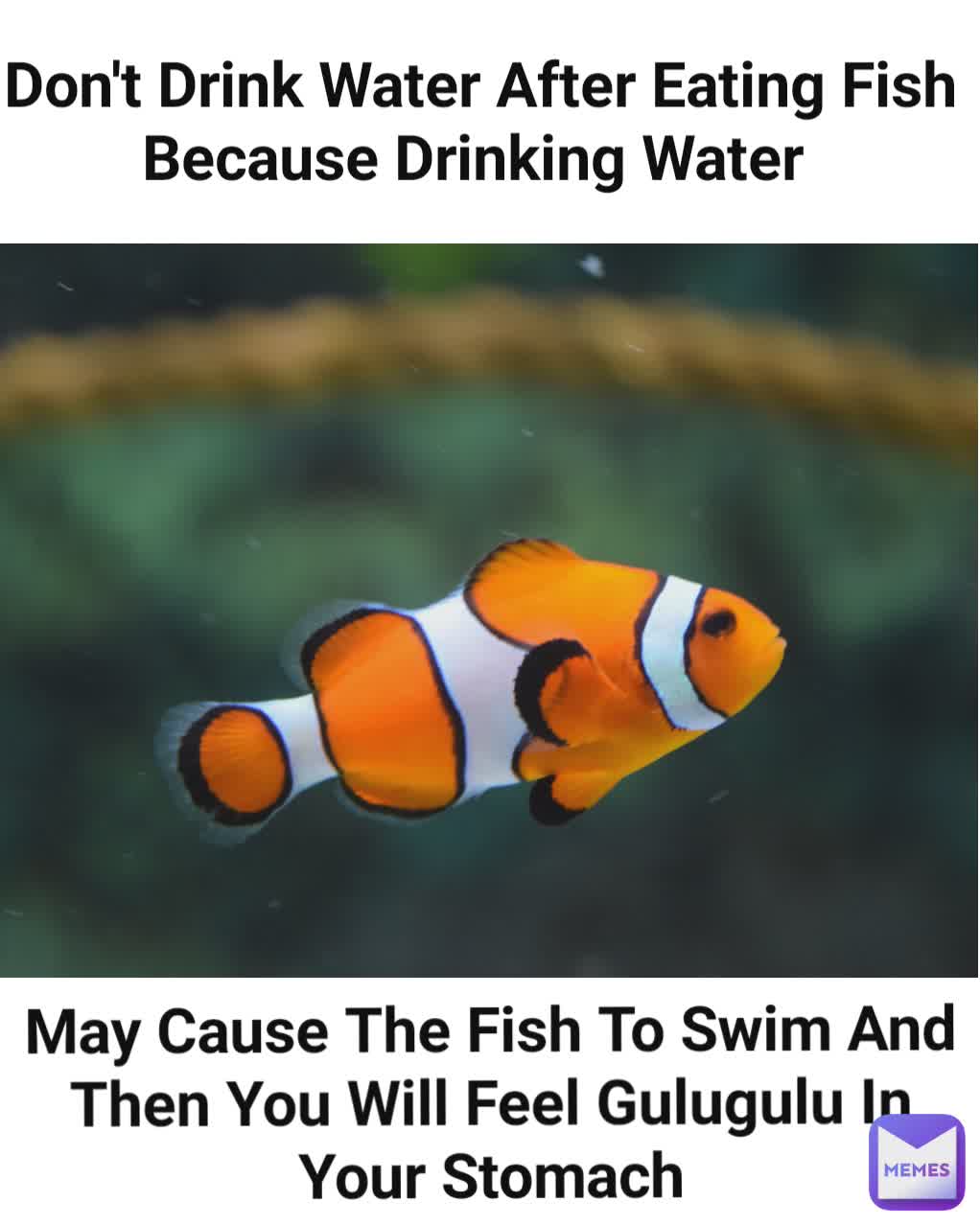 May Cause The Fish To Swim And Then You Will Feel Gulugulu In Your Stomach Don't Drink Water After Eating Fish Because Drinking Water 