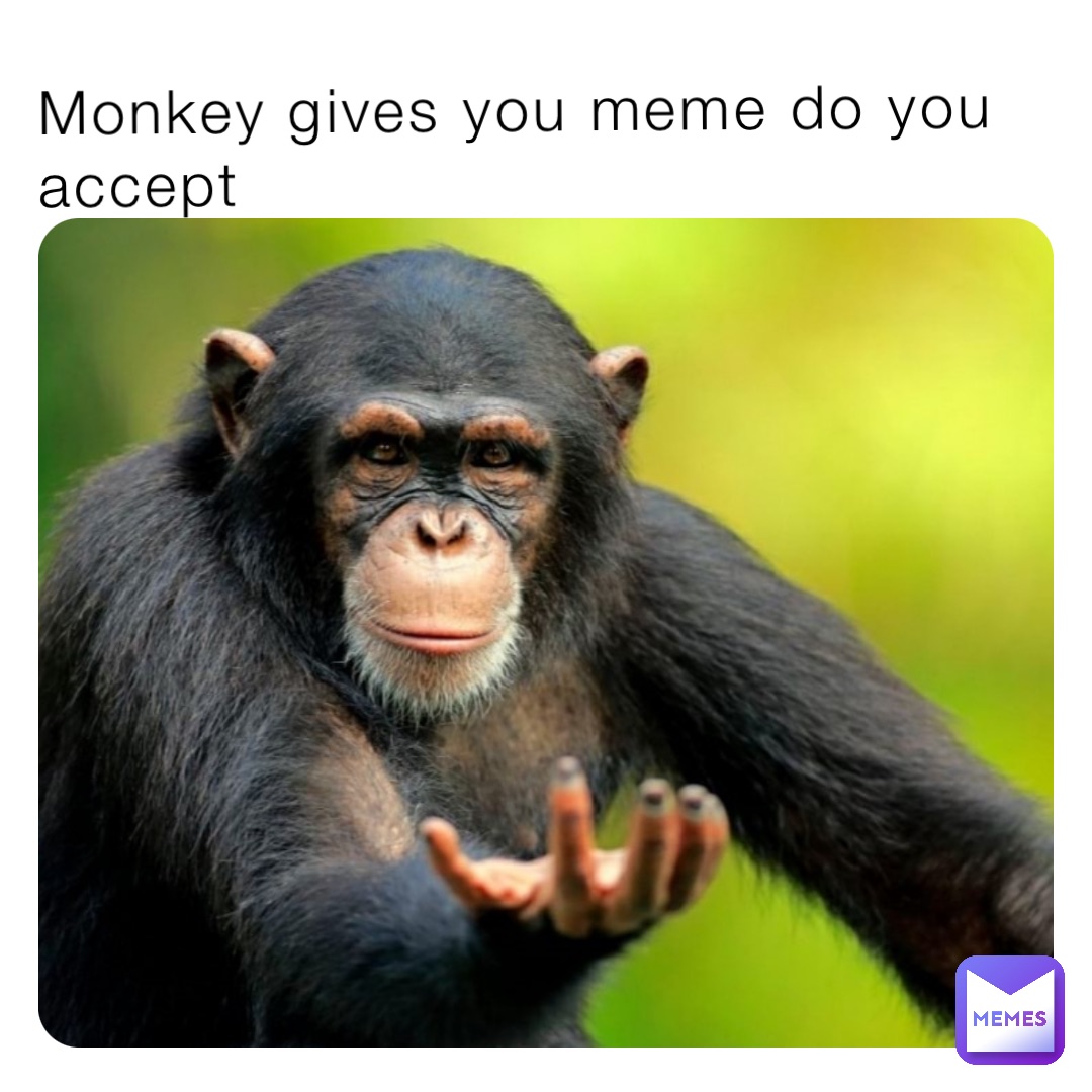 Monkey gives you meme do you accept