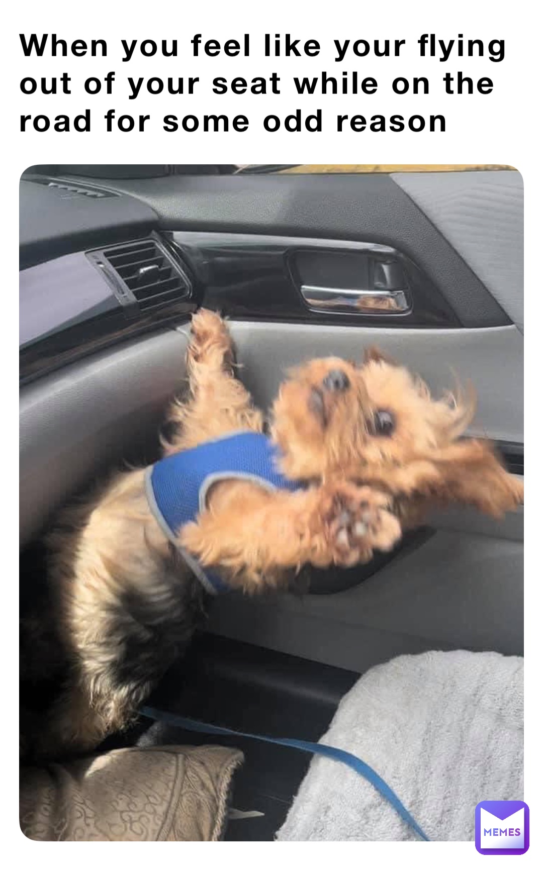 Meme by DaMidnightC00KI3