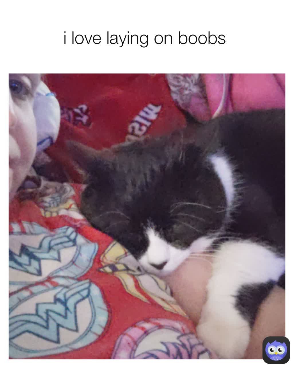 i love laying on boobs 