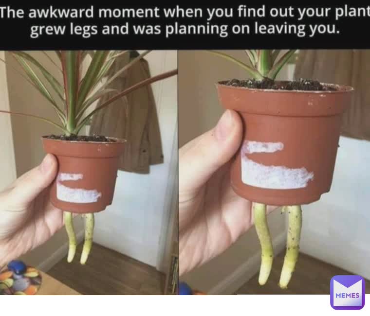 Meme by The_memealiendied