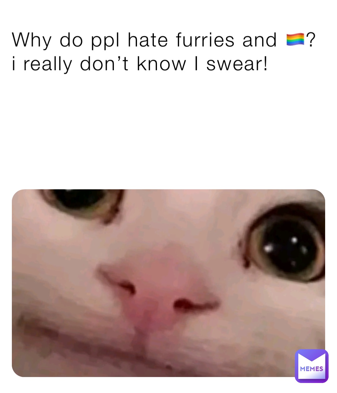 Why Do Ppl Hate Furries And i Really Don t Know I Swear 