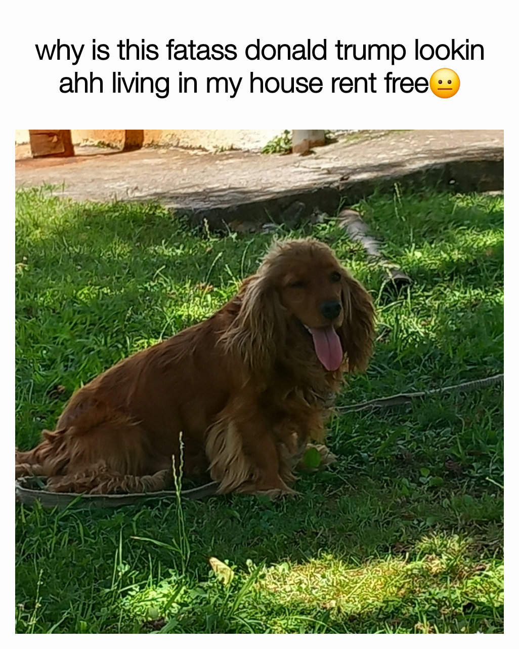 Meme by MemesFromGeorgia