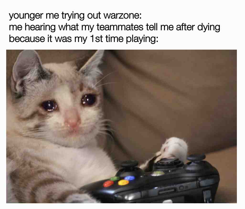 Meme shared by @MemesFromGeorgia