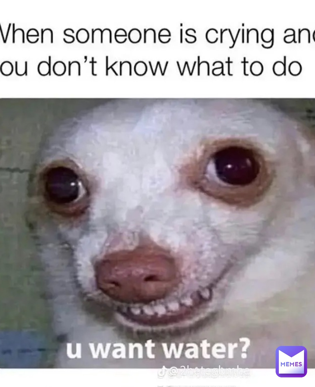 Meme by amateursquad