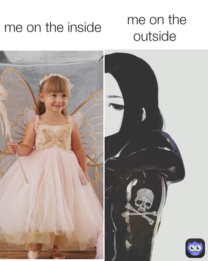 me on the outside  me on the inside