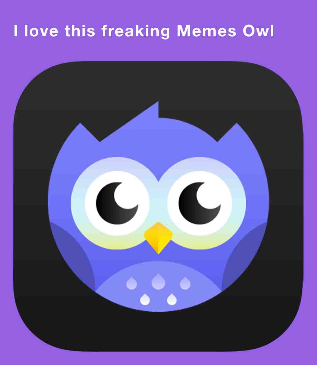 Let\u2019s chat \ud83d\udcac
#owl #newicon