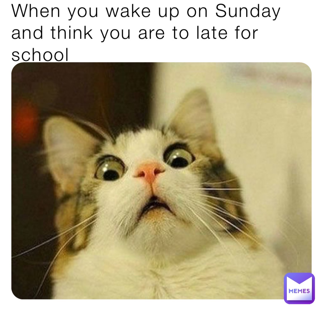 When you wake up on Sunday and think you are to late for school