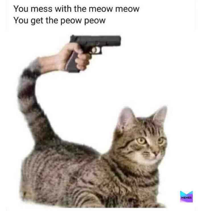 Meme shared by @Soulknife