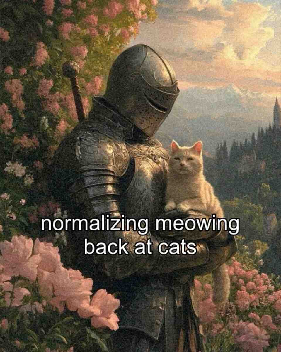 Meme shared by @Soulknife