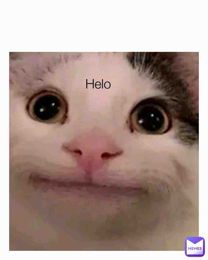 Meme preview