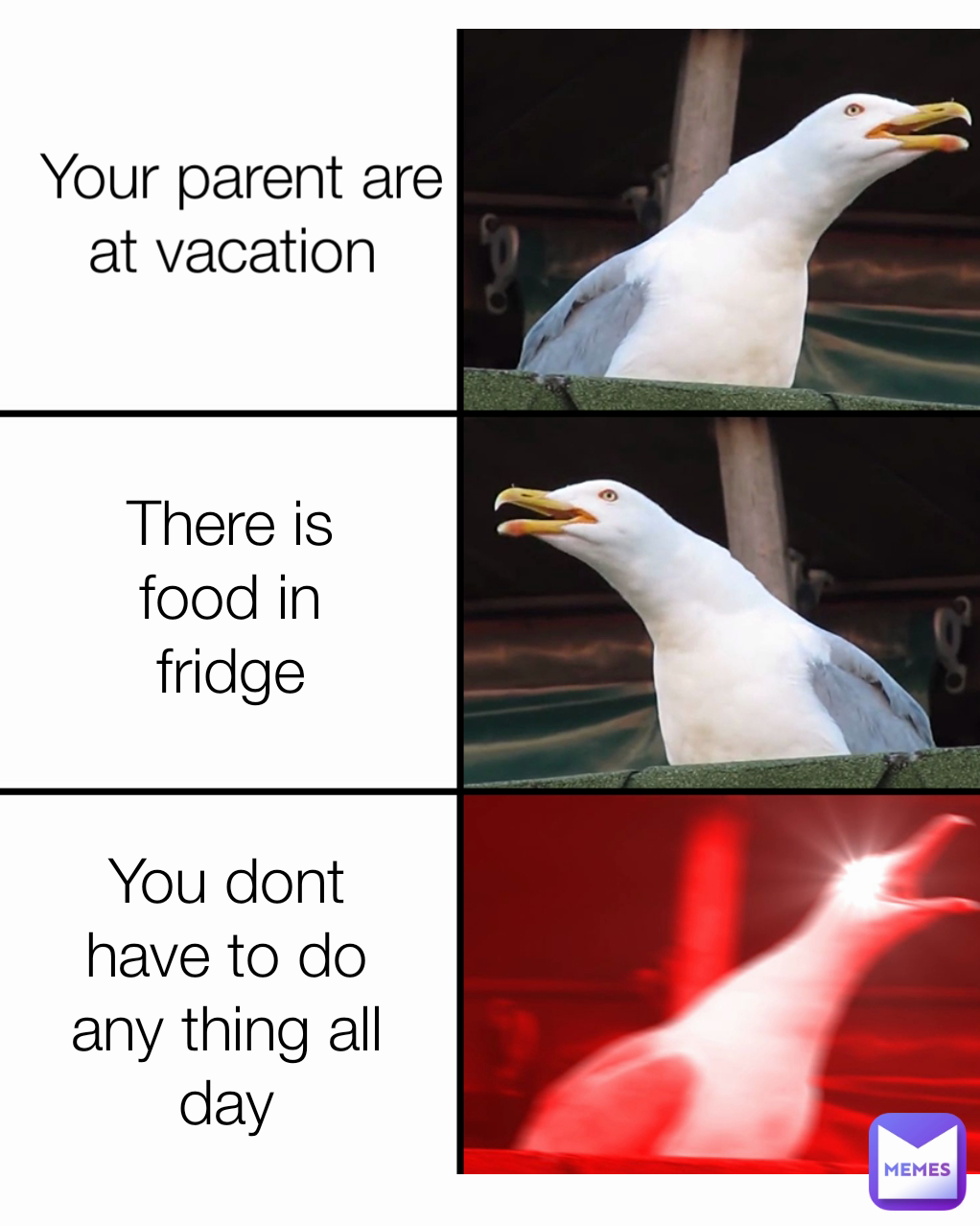 Your parent are at vacation  There is food in fridge You dont have to do any thing all day