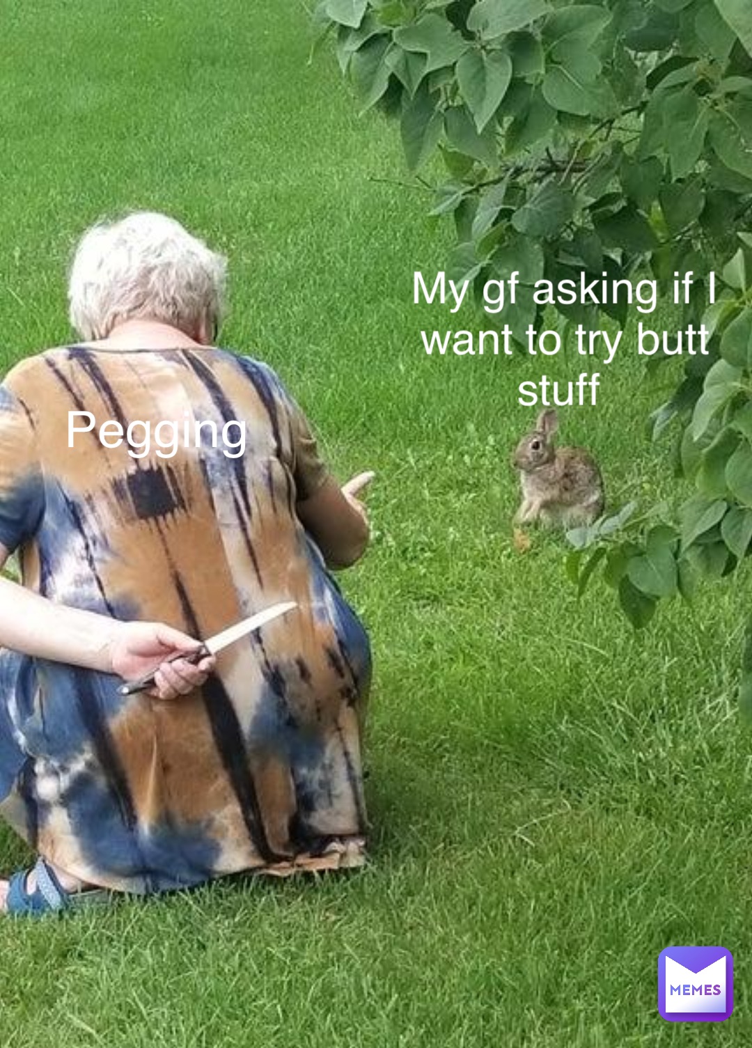 My gf asking if I want to try butt stuff Pegging