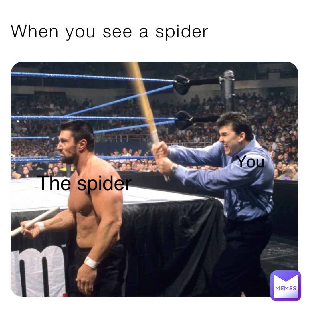 When you see a spider You The spider