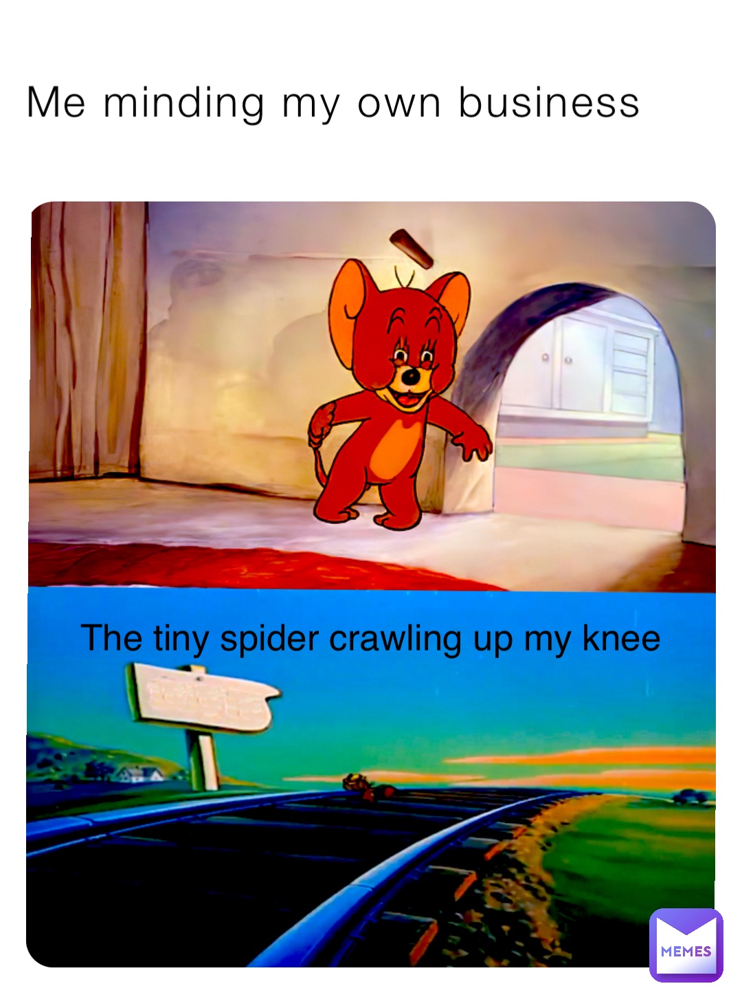 Me minding my own business The tiny spider crawling up my knee