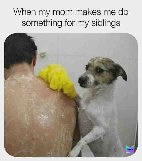 Meme shared by @Liv47