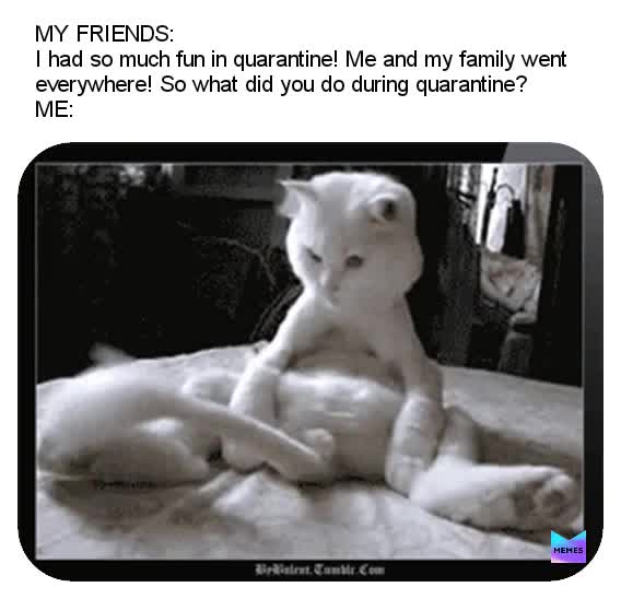 Meme shared by @Liv47