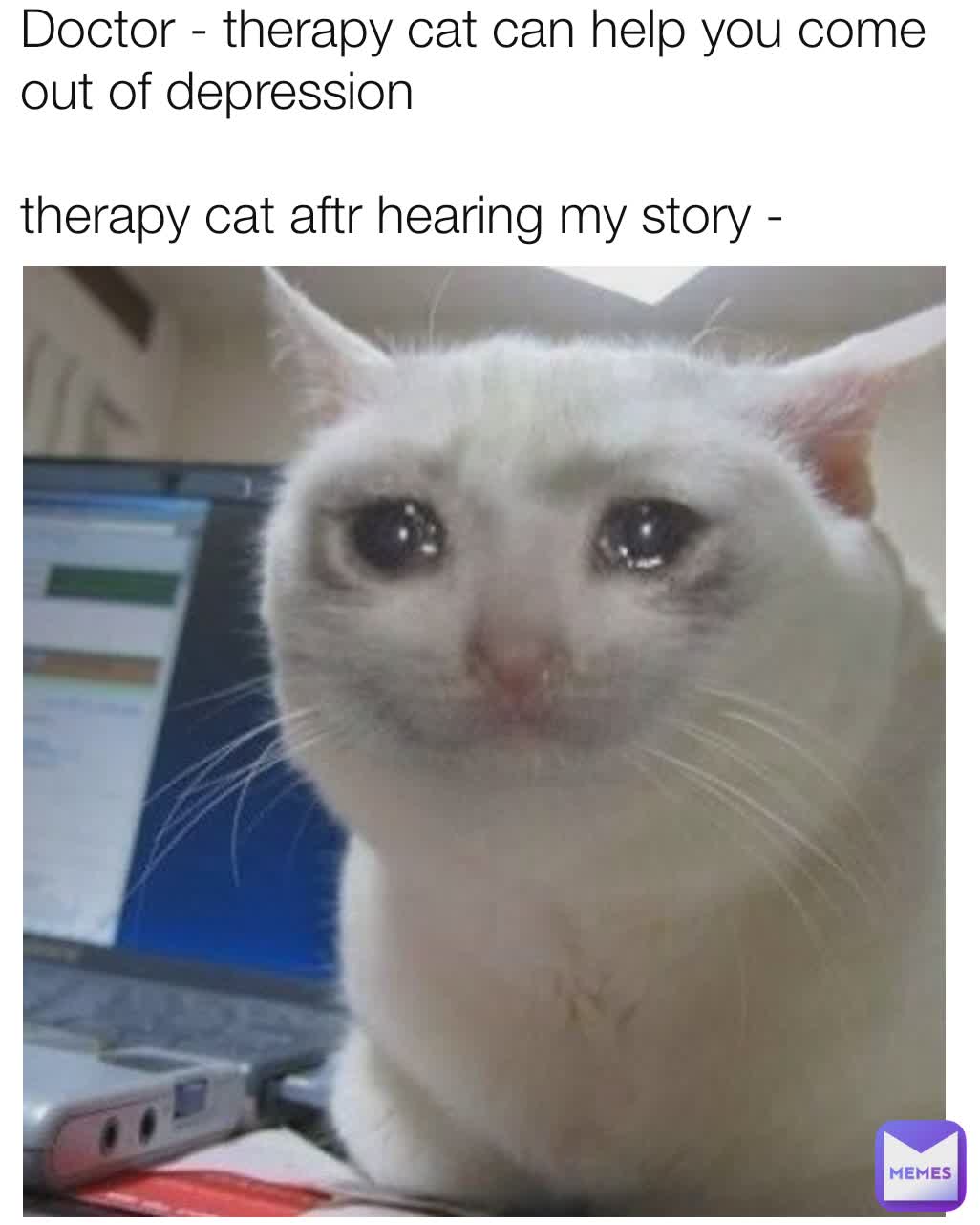 Doctor - therapy cat can help you come out of depression

therapy cat aftr hearing my story -