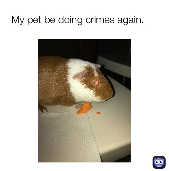 Meme by Test_Subjext012