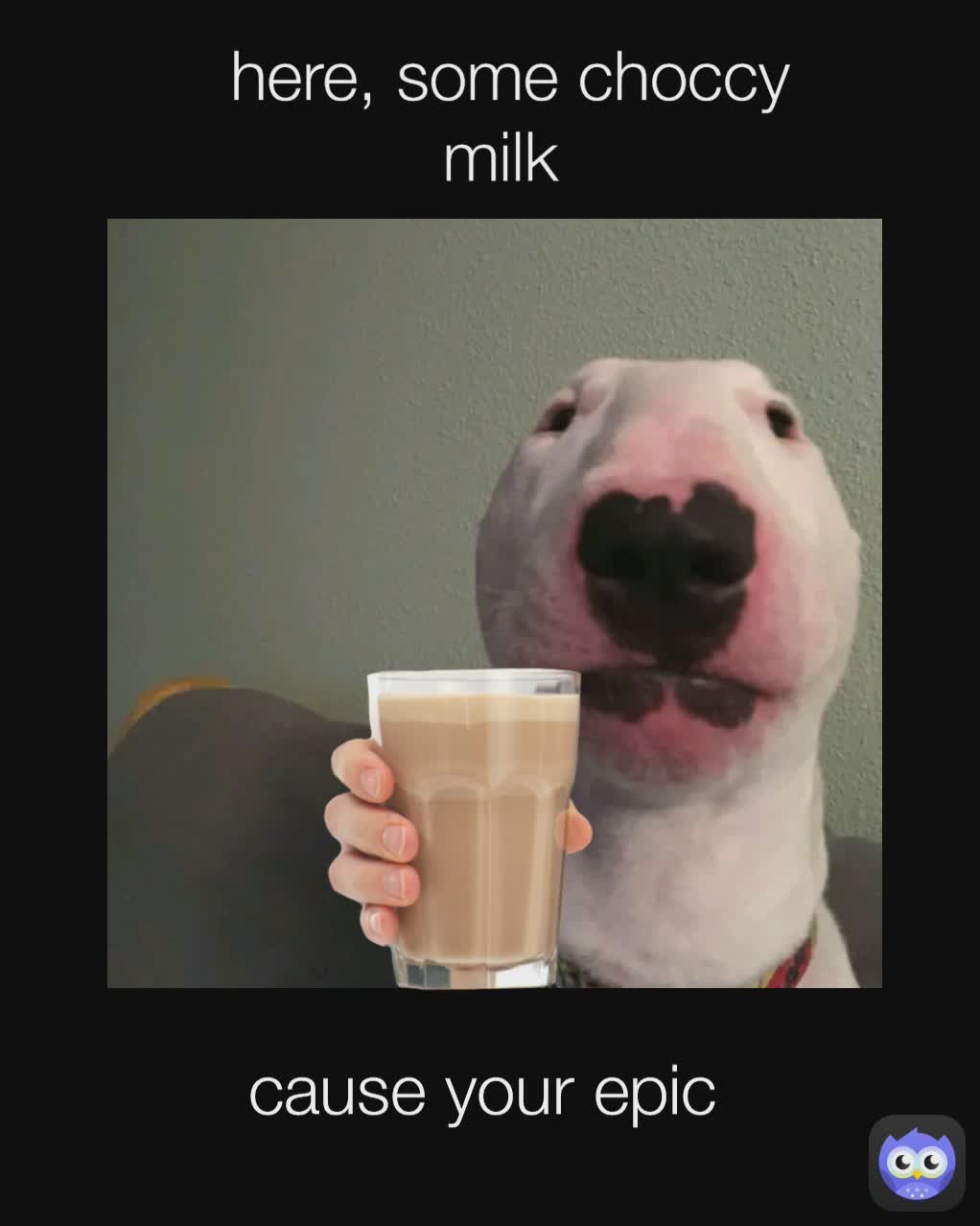 cause your epic here, some choccy milk 
