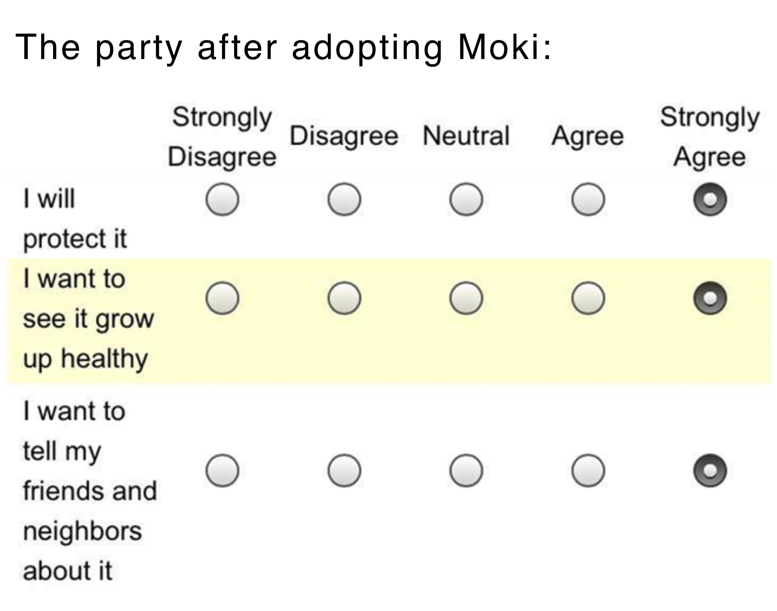 The party after adopting Moki: