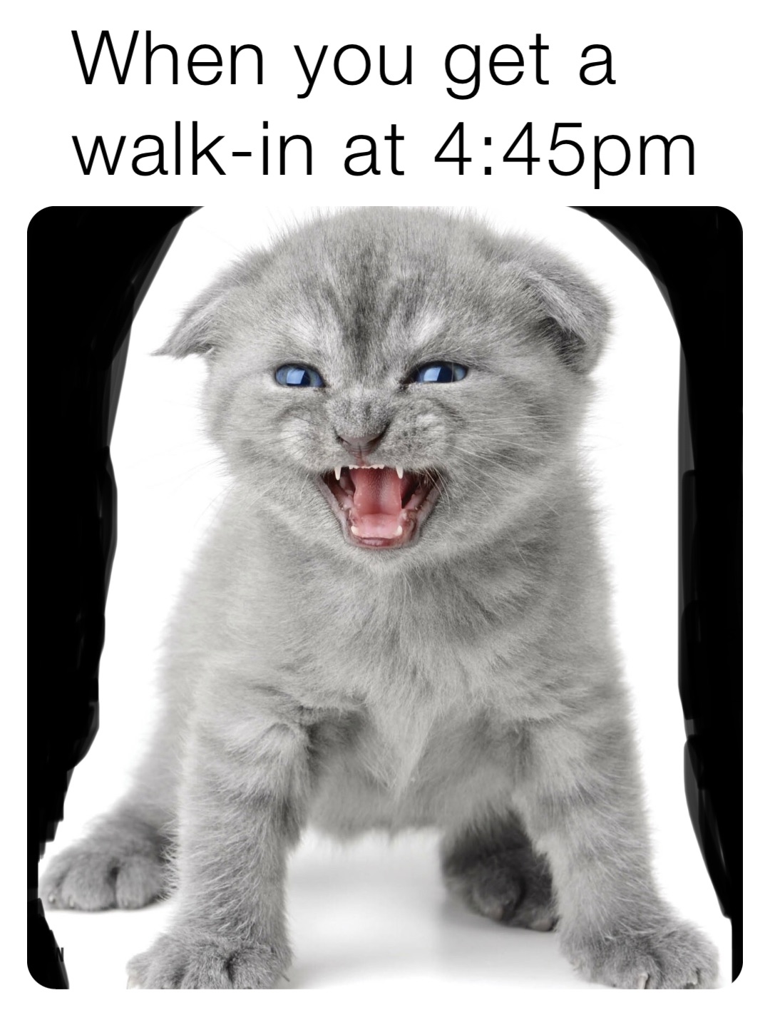 Meme by Charchar5508