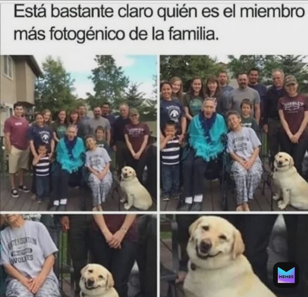 Meme by memes.in.spanish.and.english