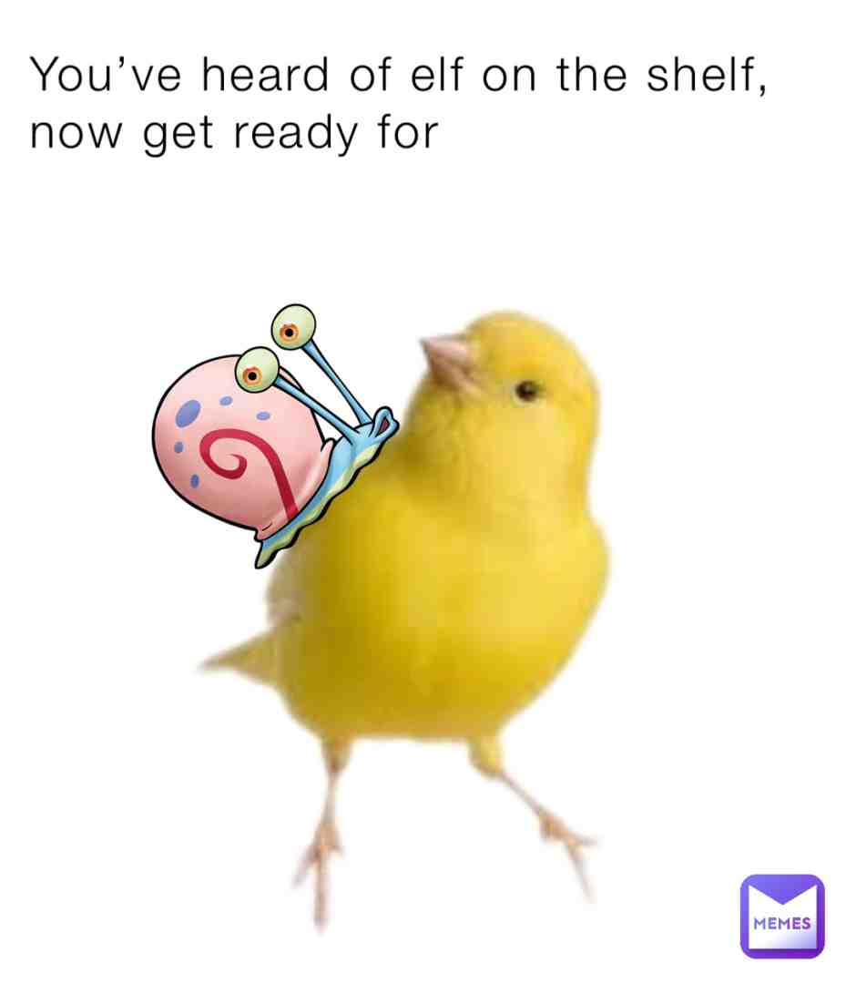 #elfonashelfmeme #spongebobmemes #bird #funny #memes