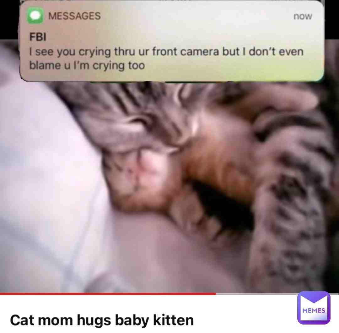 It’s just so wholesome #fbi #cat #youtube #wholesomememes