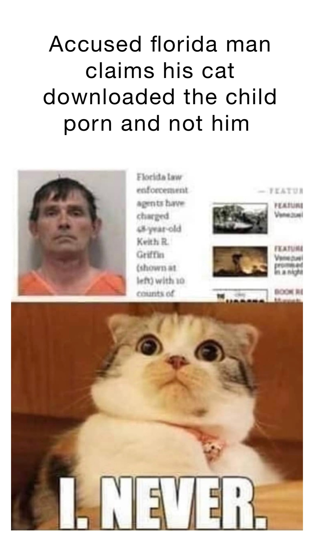 Accused Florida man claims his cat downloaded the child porn and not him