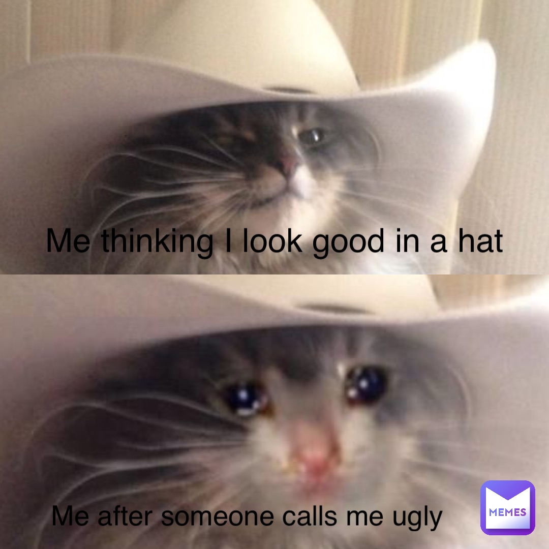 Me thinking I look good in a hat Me after someone calls me ugly