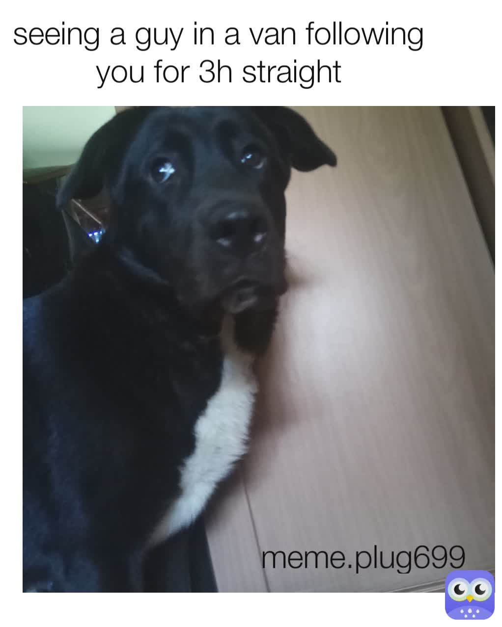 Meme by meme.plug6996