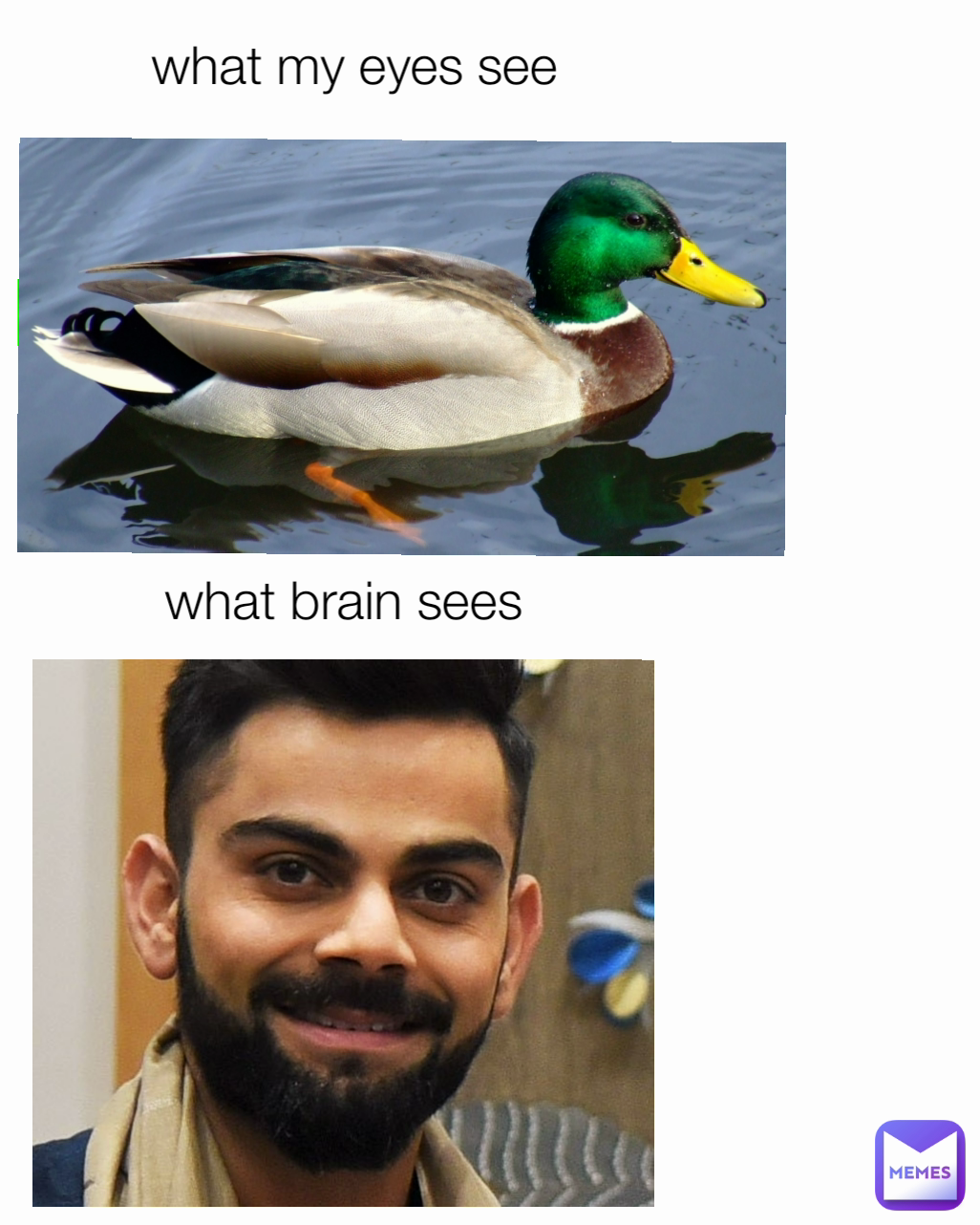 Meme by kushagramisra