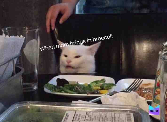 #lmao  #funny  #amazing  #meme  #memes  #cats