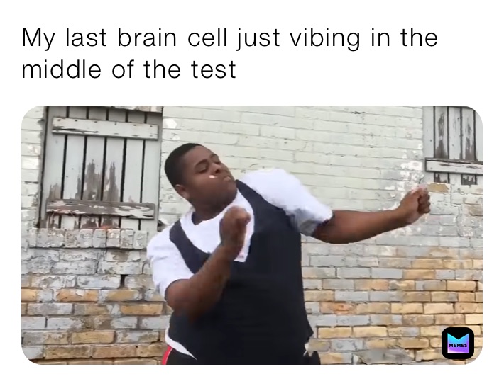 My last brain cell just vibing in the middle of the test | @meme ...