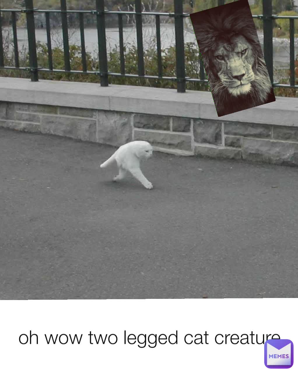 Meme by TheMemeBoy123