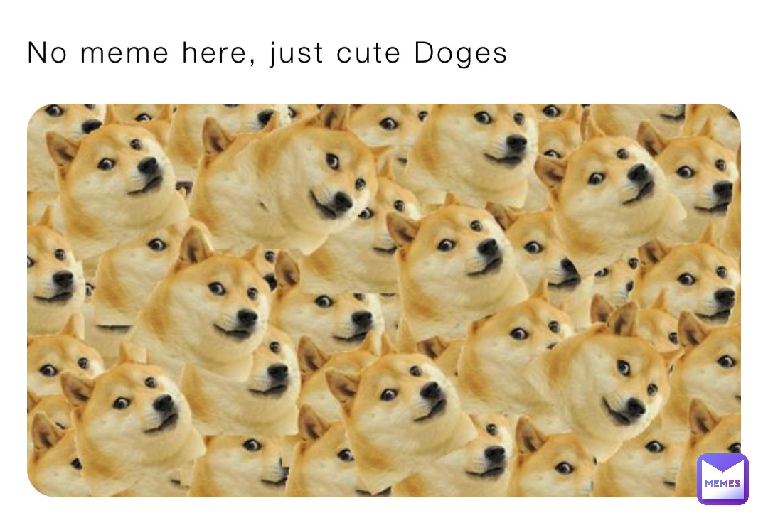 No meme here, just cute Doges