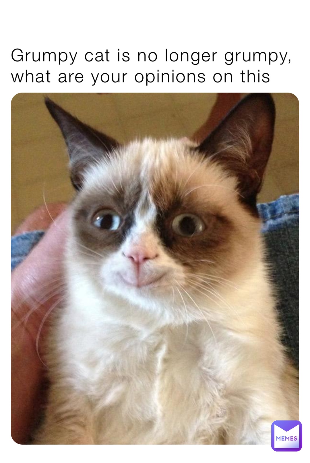 Grumpy cat is no longer grumpy, what are your opinions on this