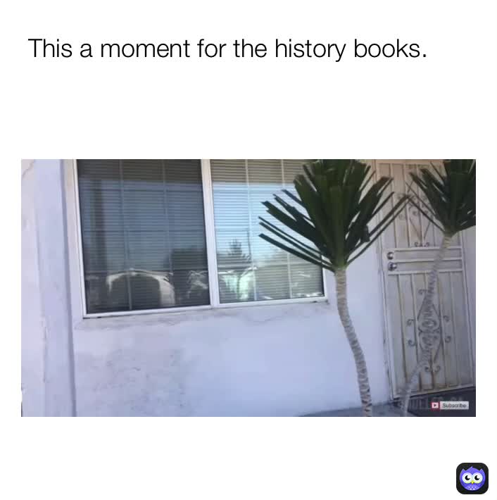 The power of memes.
