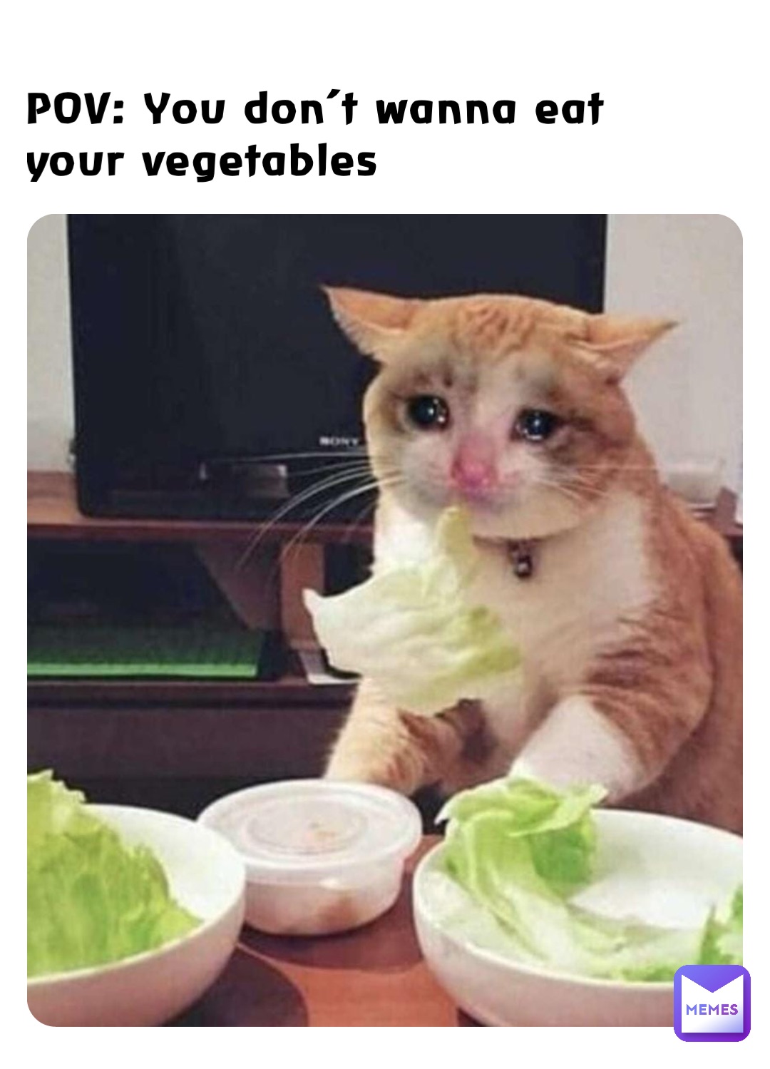 POV: You don’t wanna eat 
your vegetables