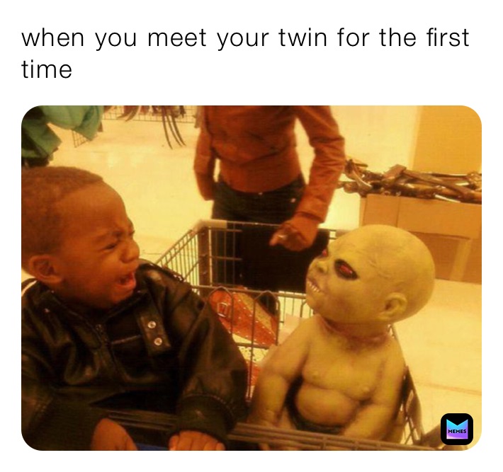 when you meet your twin for the first time