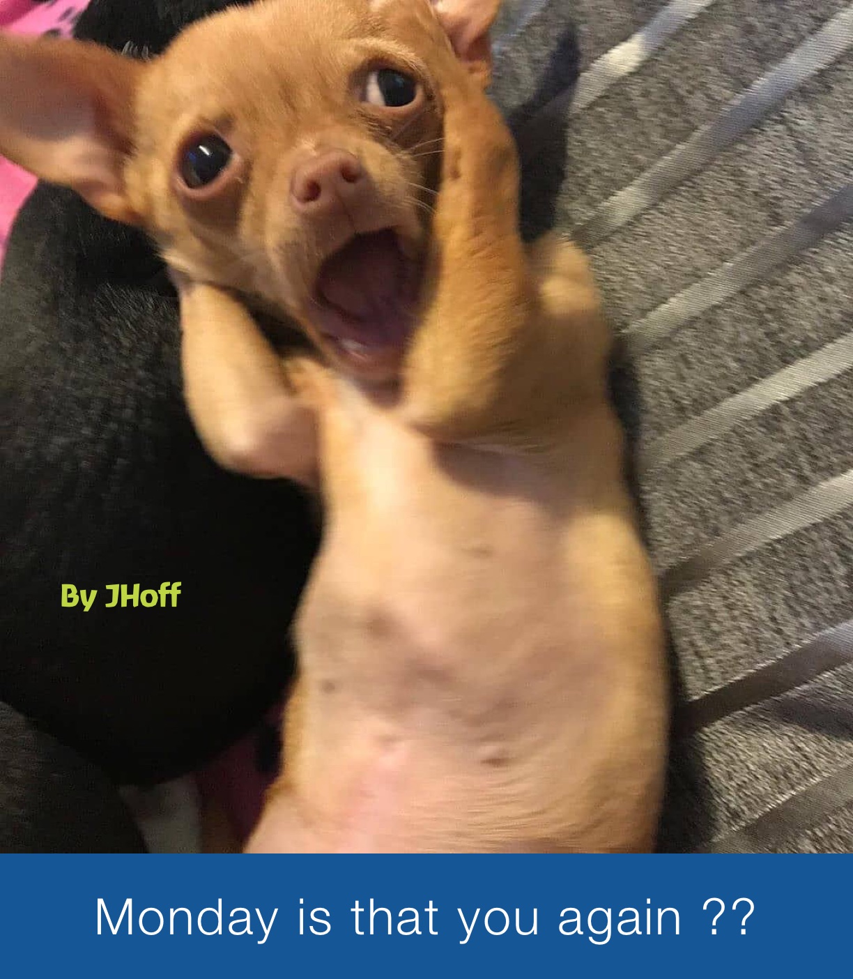 Meme by jenni.hoffmann