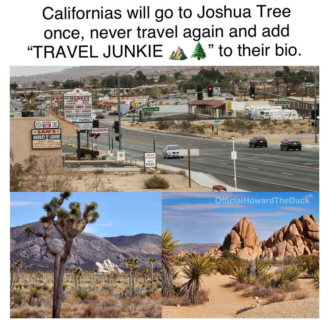 Californias will go to Joshua Tree once, never travel again and add “TRAVEL JUNKIE ⛰🌲” to their bio. OfficialHowardTheDuck