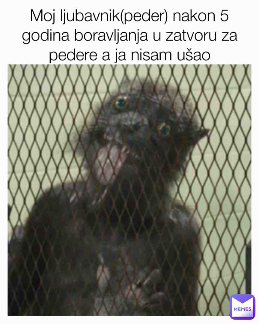 Meme shared by @siljinator