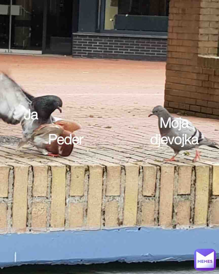 Meme shared by @siljinator